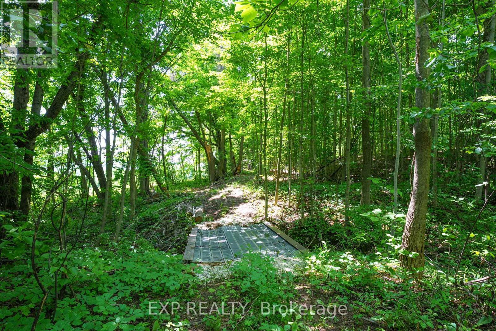 Kimberley - 195718 Grey 7 Road, Grey Highlands, ON - Outdoor