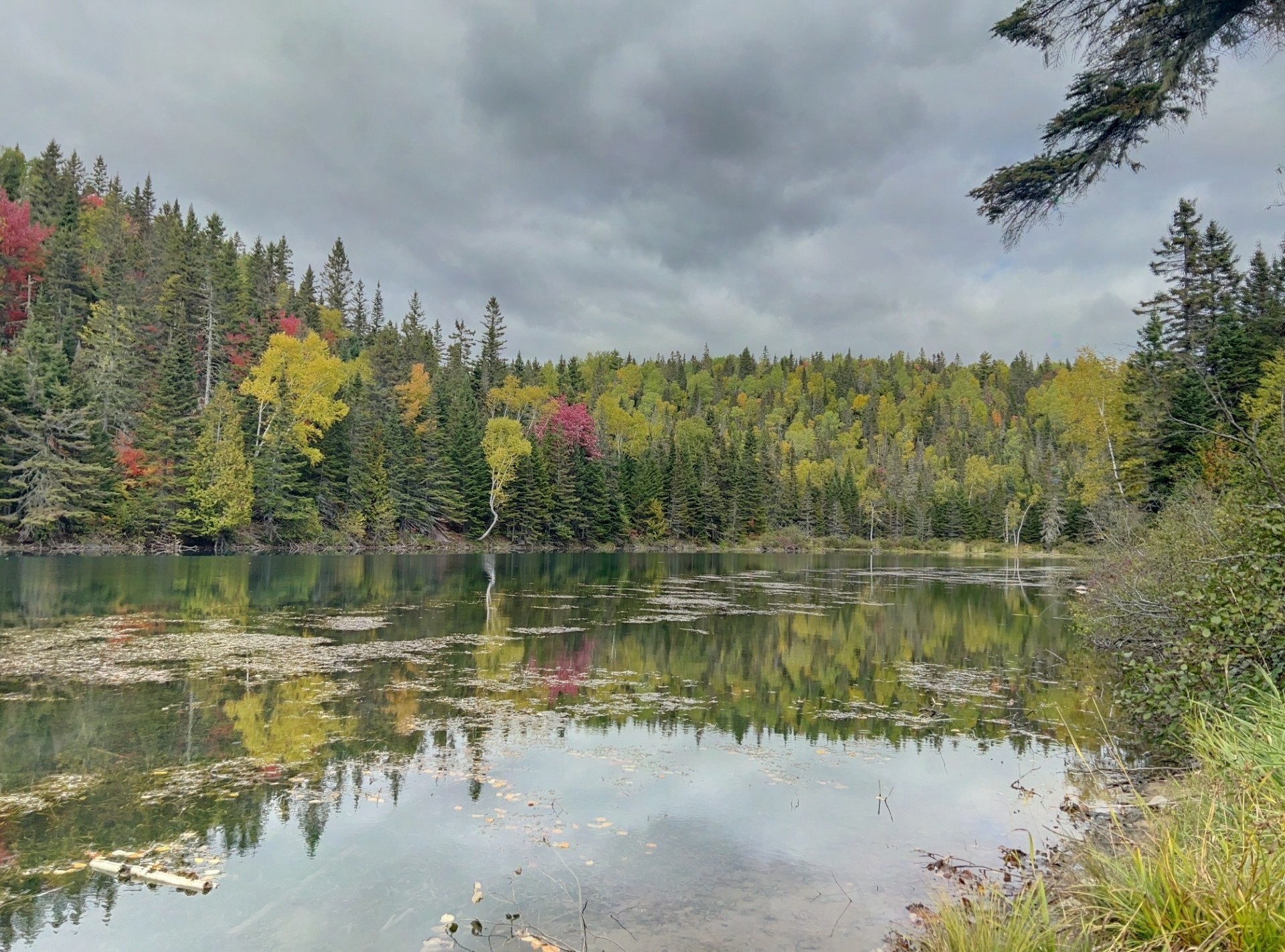 Water view - 2 Rivière Hall, Paspébiac, QC - Outdoor With Body Of Water With View