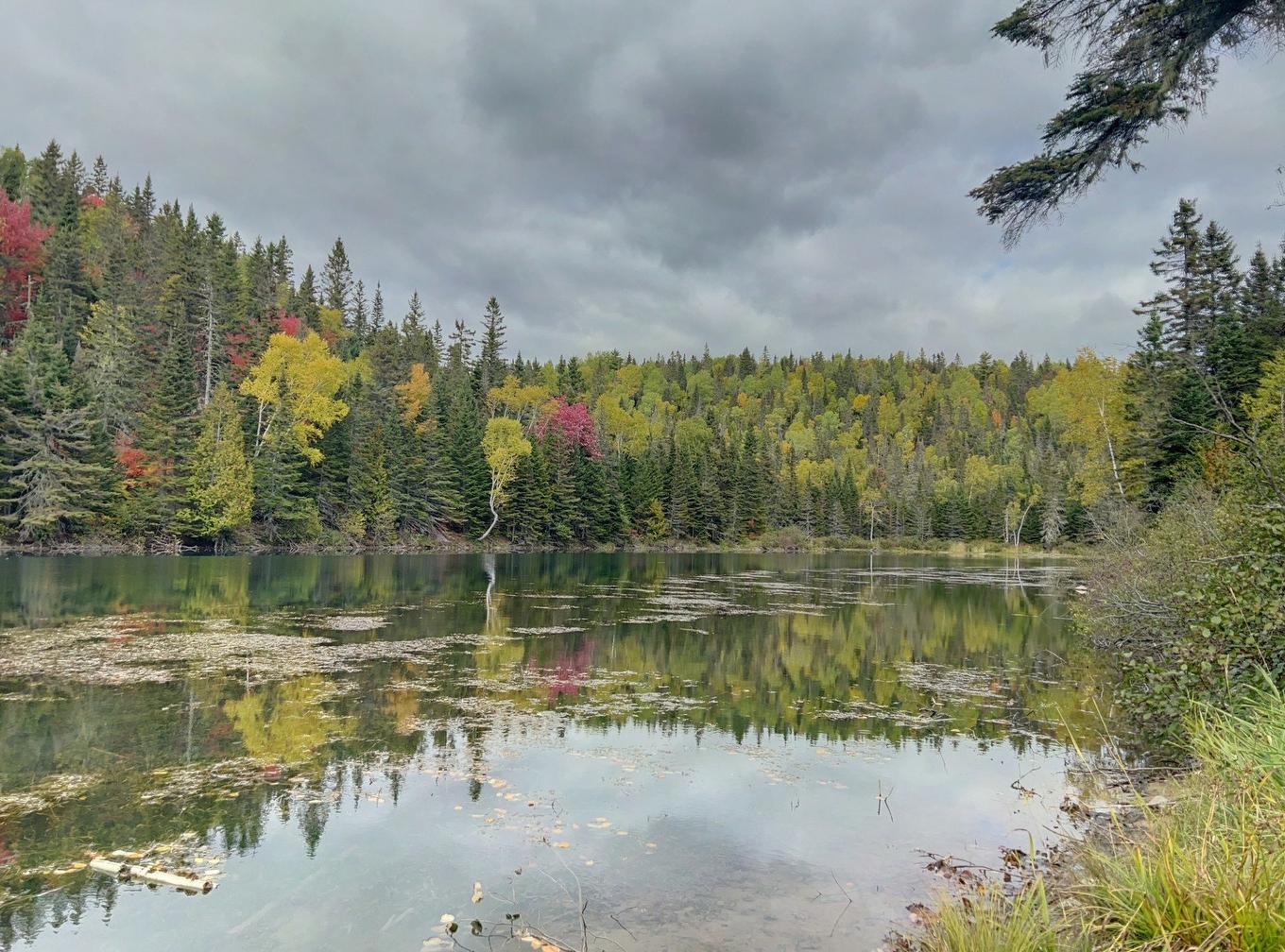 Vue sur l'eau - 2 Rivière Hall, Paspébiac, QC - Outdoor With Body Of Water With View
