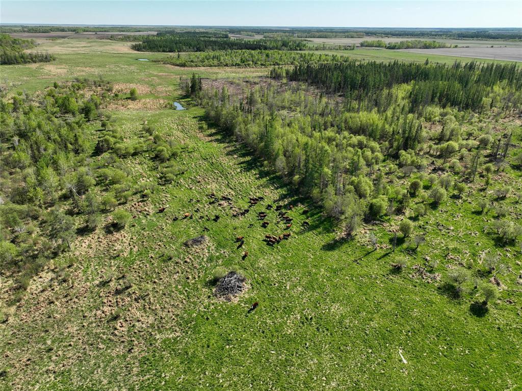 21050 144 Road Ne, Riverton, MB - Outdoor With View