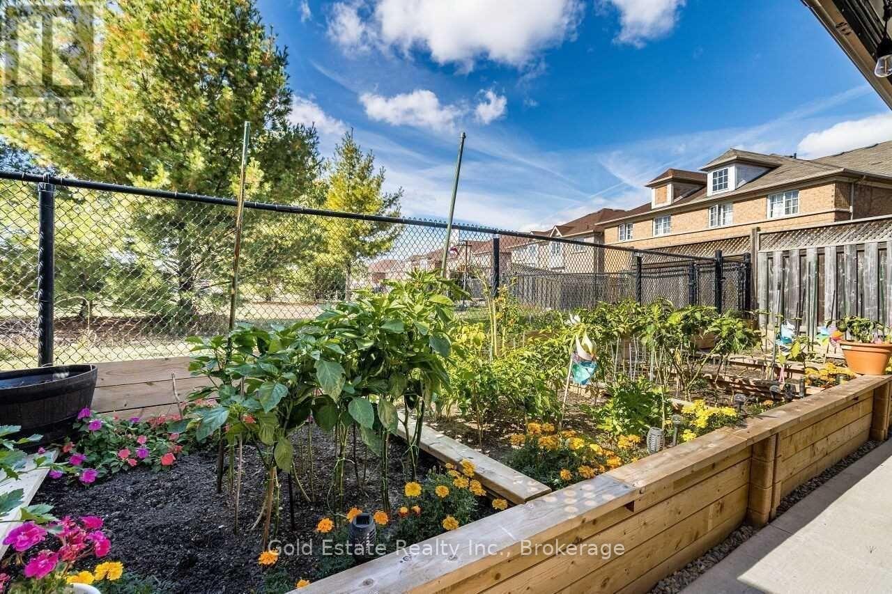 45 Rotunda Street, Brampton, ON - Outdoor