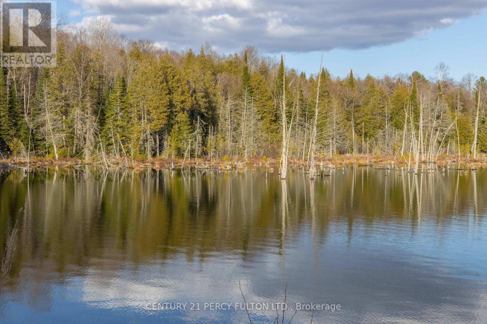 L 24&25 - 0 Lost Nation Road, Brudenell, Lyndoch And Raglan, ON - Outdoor With Body Of Water With View