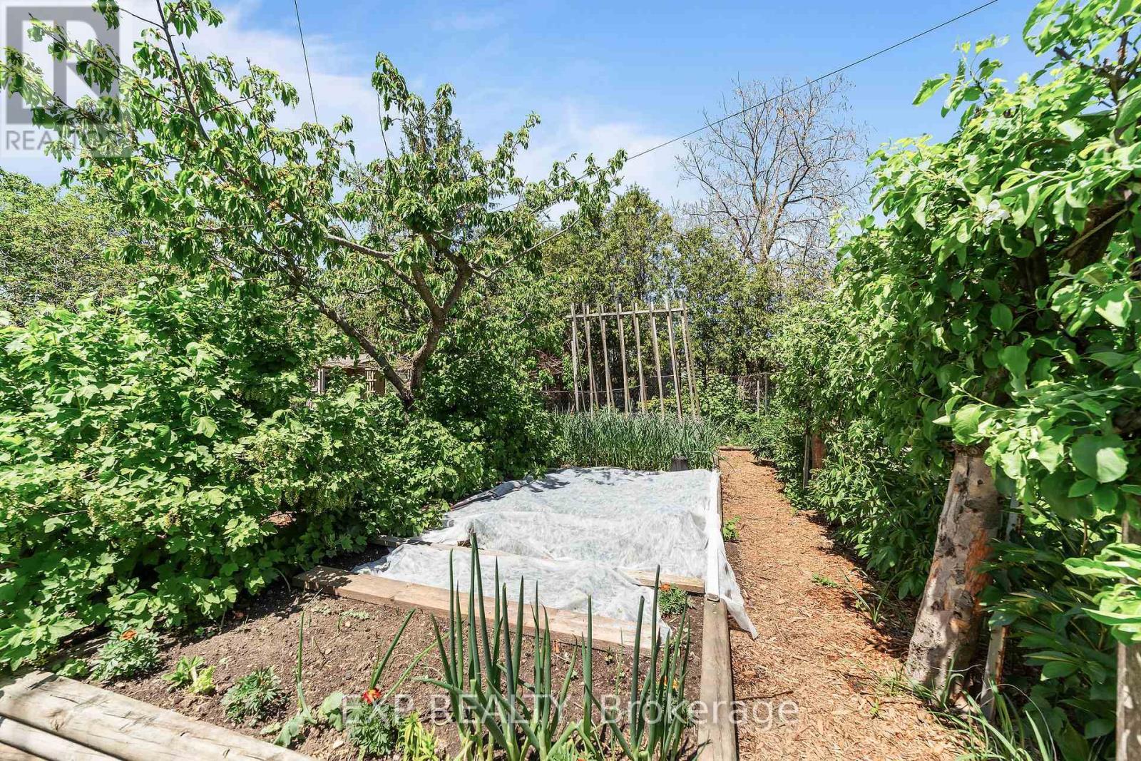 137 Fried Street, Bluewater (Dashwood), ON - Outdoor