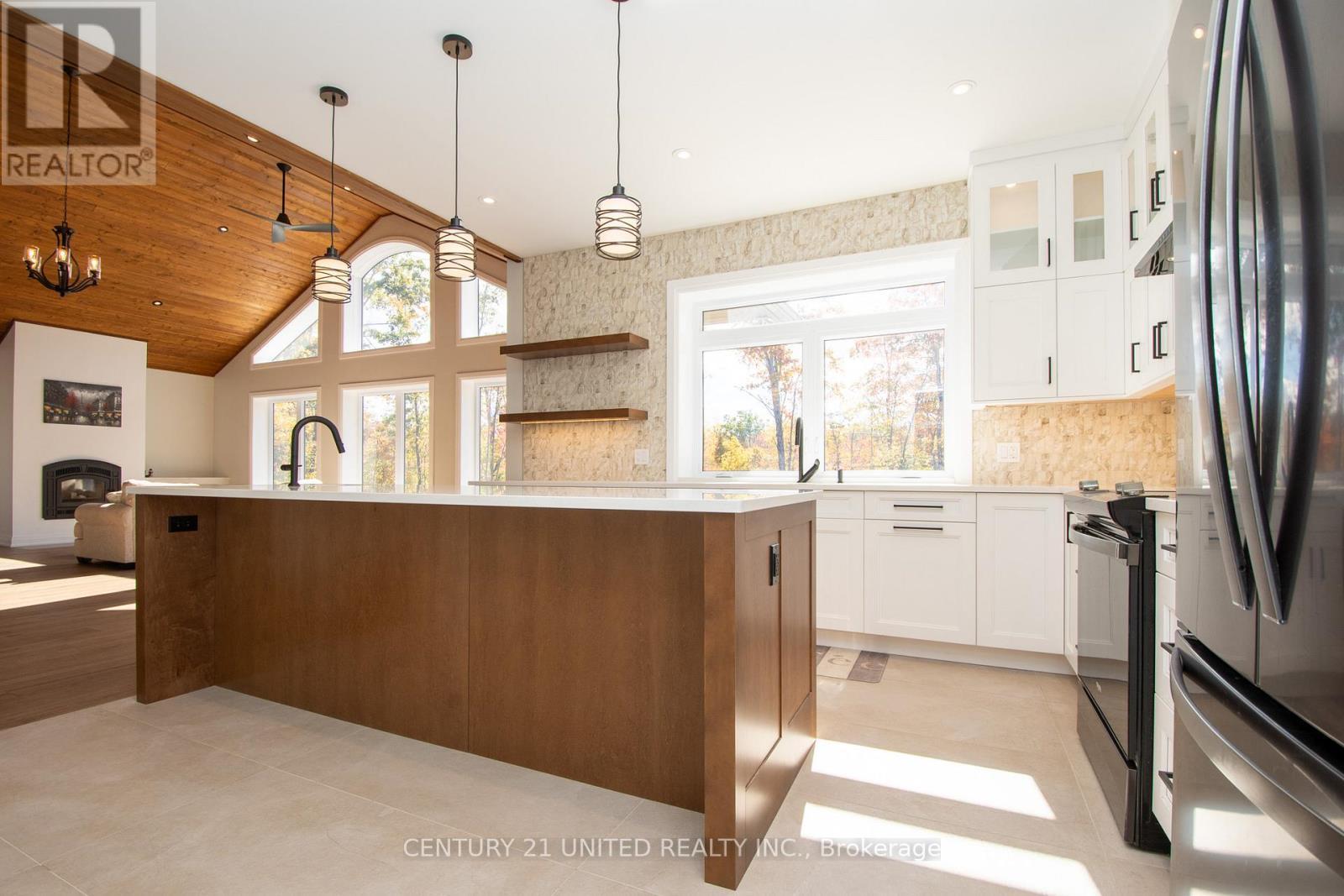 318 County Road 47, Havelock-Belmont-Methuen (Belmont-Methuen), ON - Indoor Photo Showing Kitchen With Upgraded Kitchen
