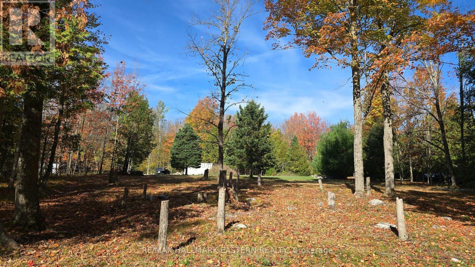 344 Swinburne Lane, Stirling-Rawdon (Rawdon Ward), ON