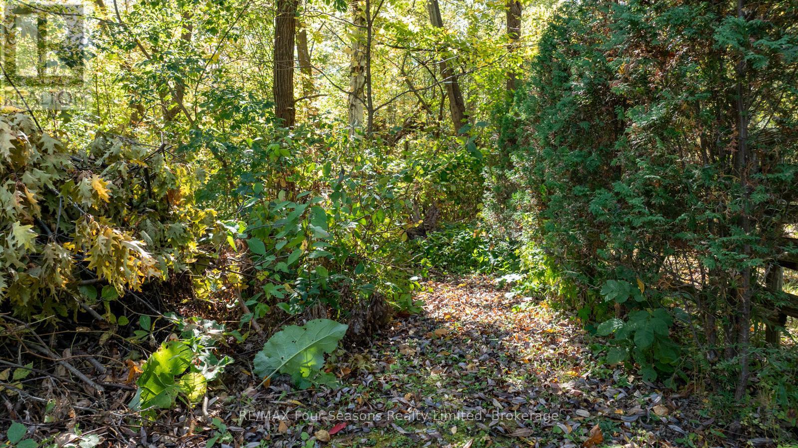 5 Caddo Drive, Clearview, ON