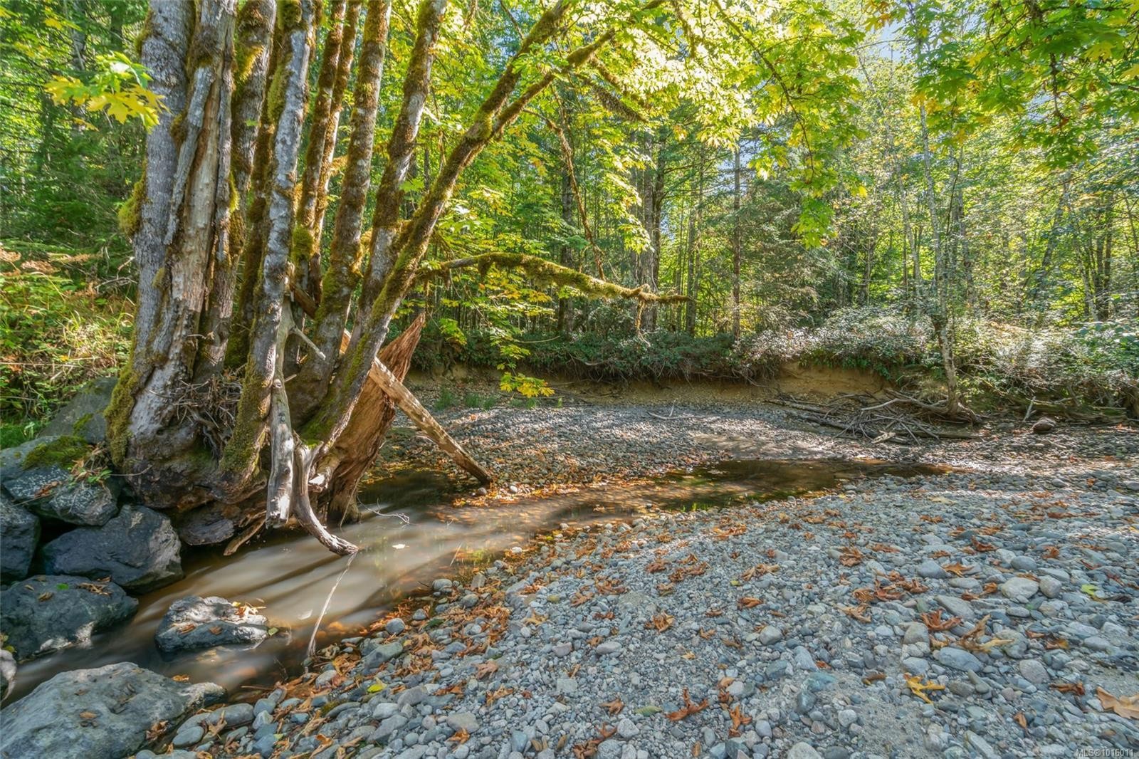 2560 Grafton Ave, Coombs, BC