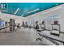 Gym Area -