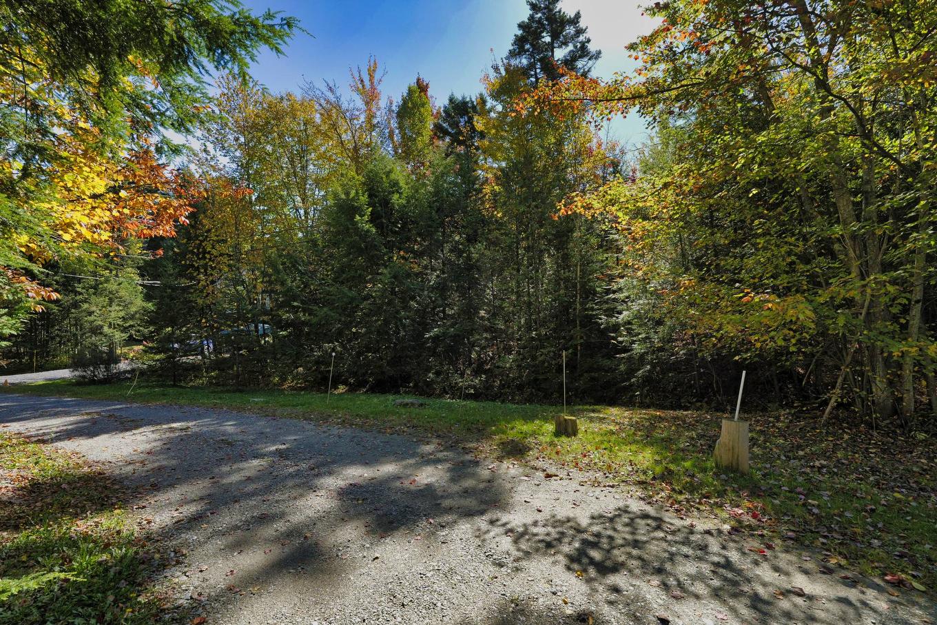 To be built - Rue Du Château, Eastman, QC