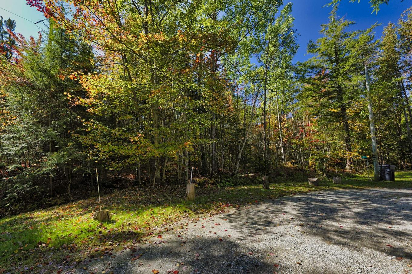 To be built - Rue Du Château, Eastman, QC