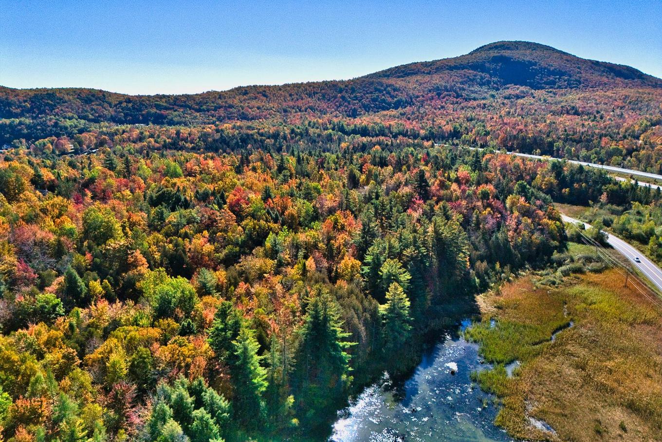 Overall view - Rue Du Château, Eastman, QC