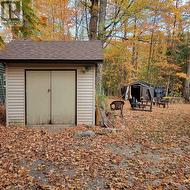 Shed -