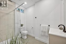 Full bathroom lower level -