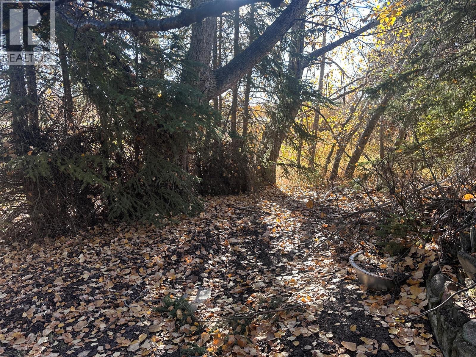 15410 Tomslake Drive, Dawson Creek, BC - Outdoor With View