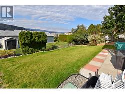 Views of the back yard -