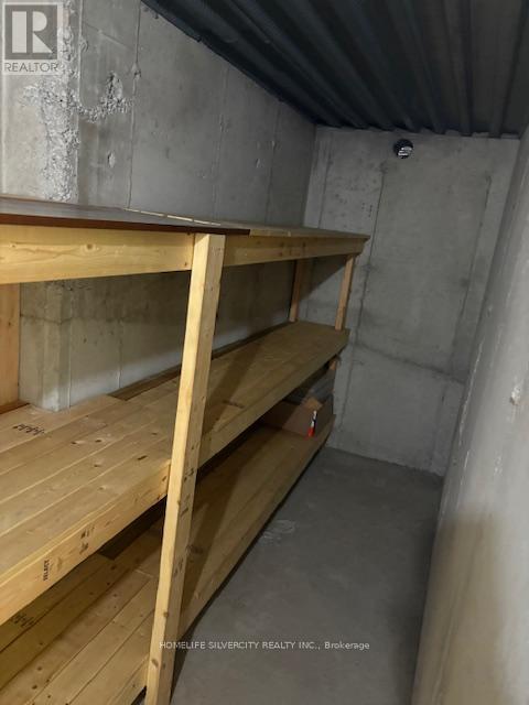 Bsmt - 17 Trentin Road, Brampton, ON - Indoor