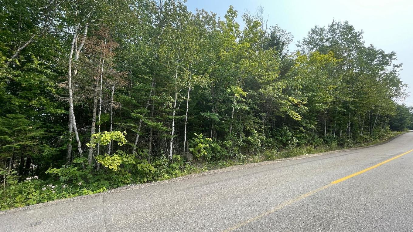 Terre/Terrain - Ch. Des Monts, Chertsey, QC