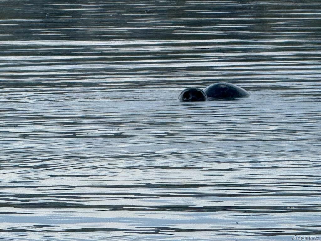 7002 East Sooke Rd, Sooke, BC