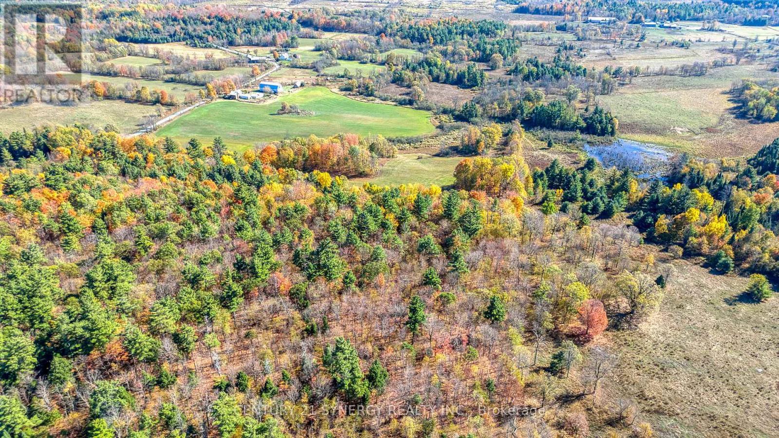 713 Rutherford Side Road, Tay Valley, ON