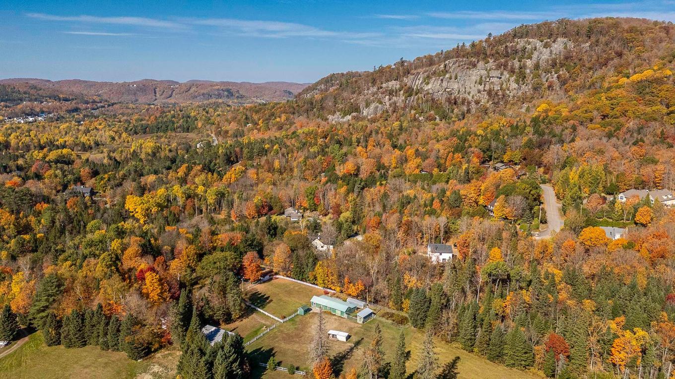 Overall view - 385 Ch. De La Rivière, Piedmont, QC - Outdoor With View