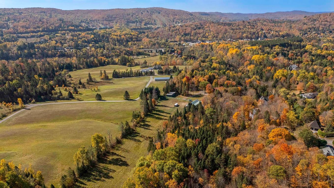 Overall view - 385 Ch. De La Rivière, Piedmont, QC - Outdoor With View