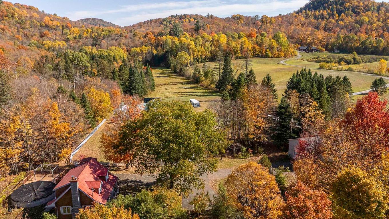 Overall view - 385 Ch. De La Rivière, Piedmont, QC - Outdoor With View