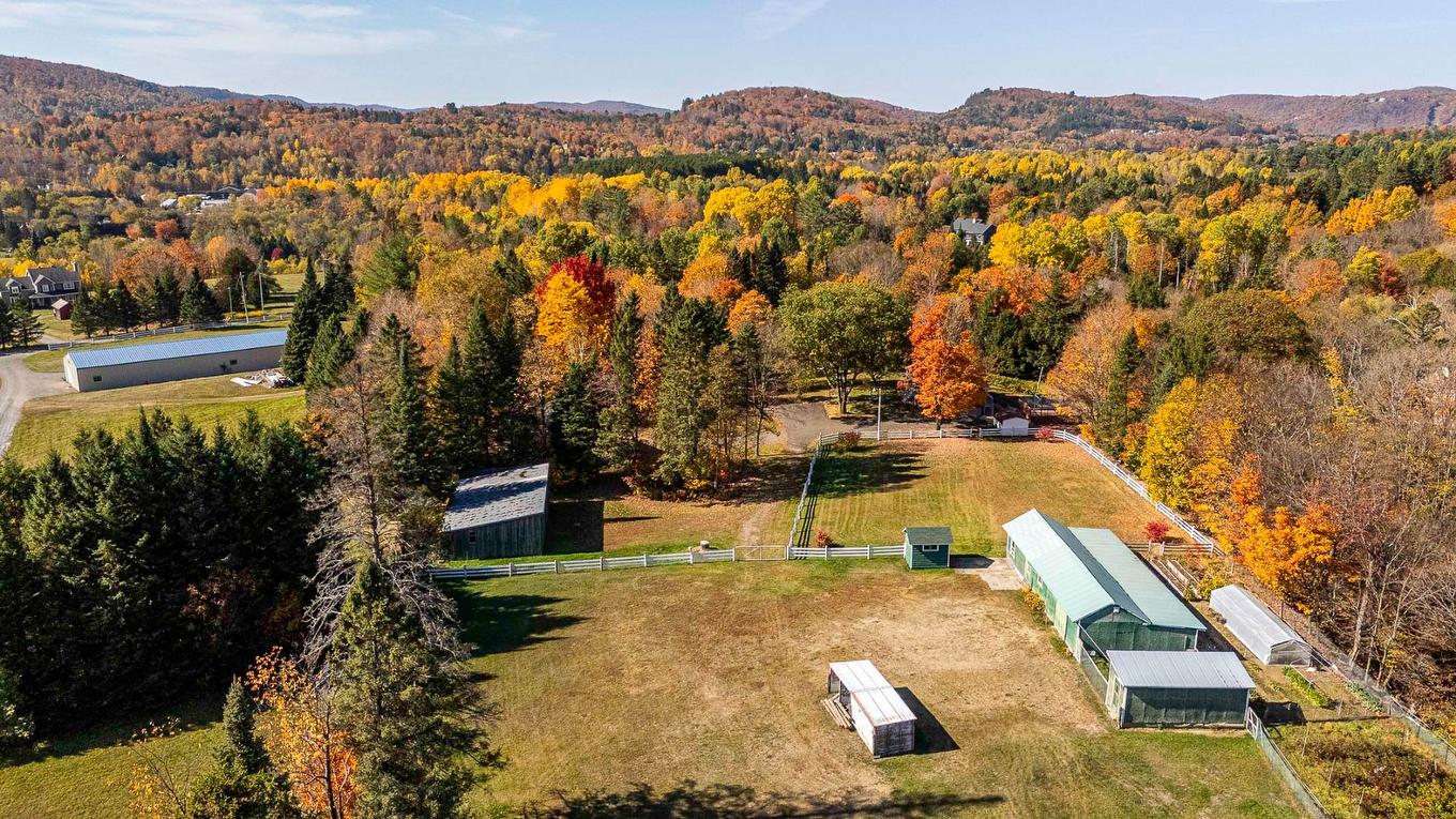 Overall view - 385 Ch. De La Rivière, Piedmont, QC - Outdoor With View