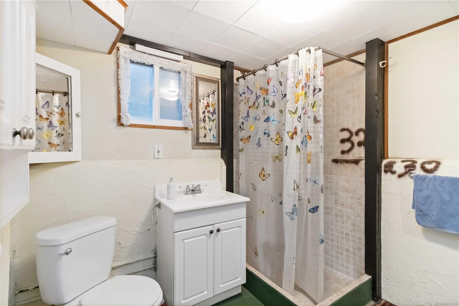 5447 Fowler Rd, Saanich, BC