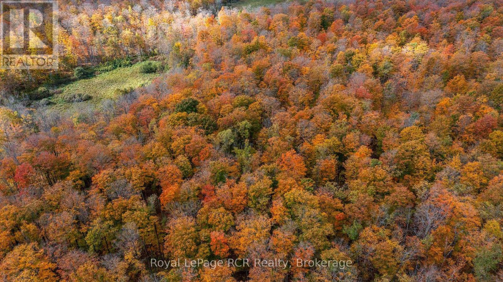 00 9Th Line, Grey Highlands, ON