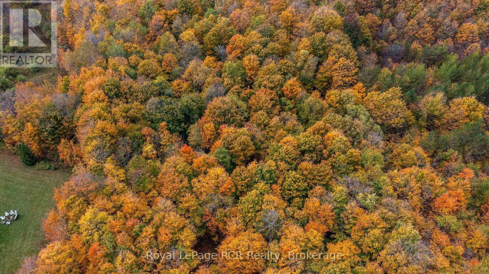 00 9Th Line, Grey Highlands, ON