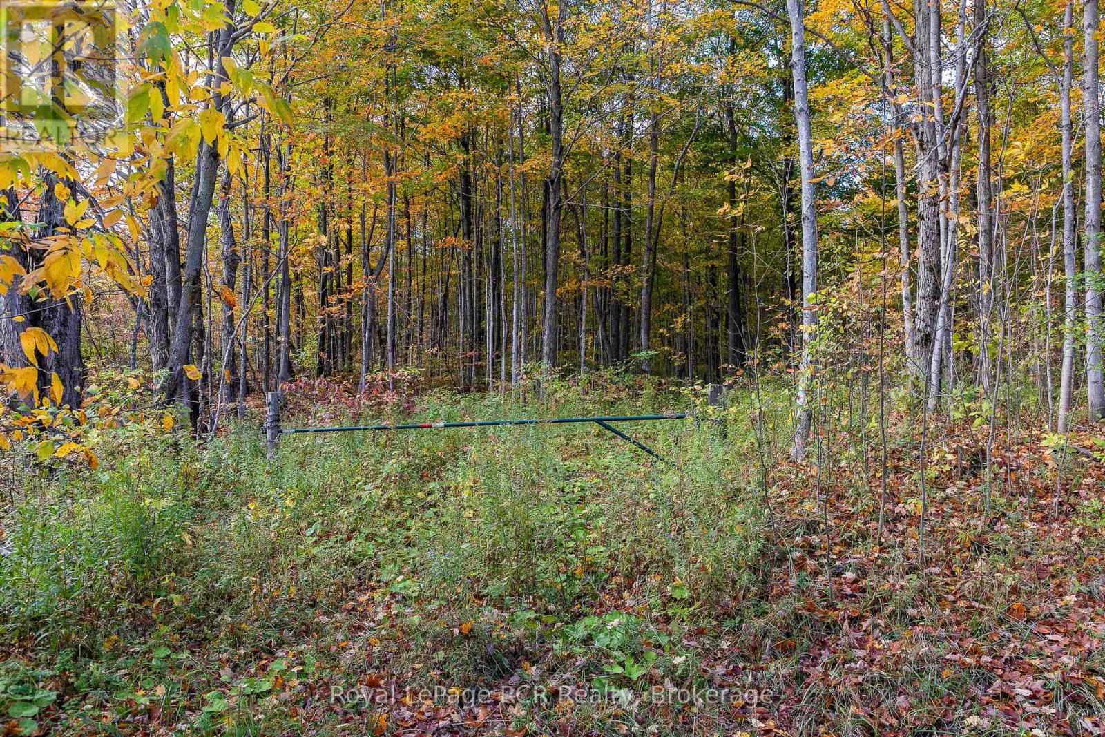 00 9Th Line, Grey Highlands, ON