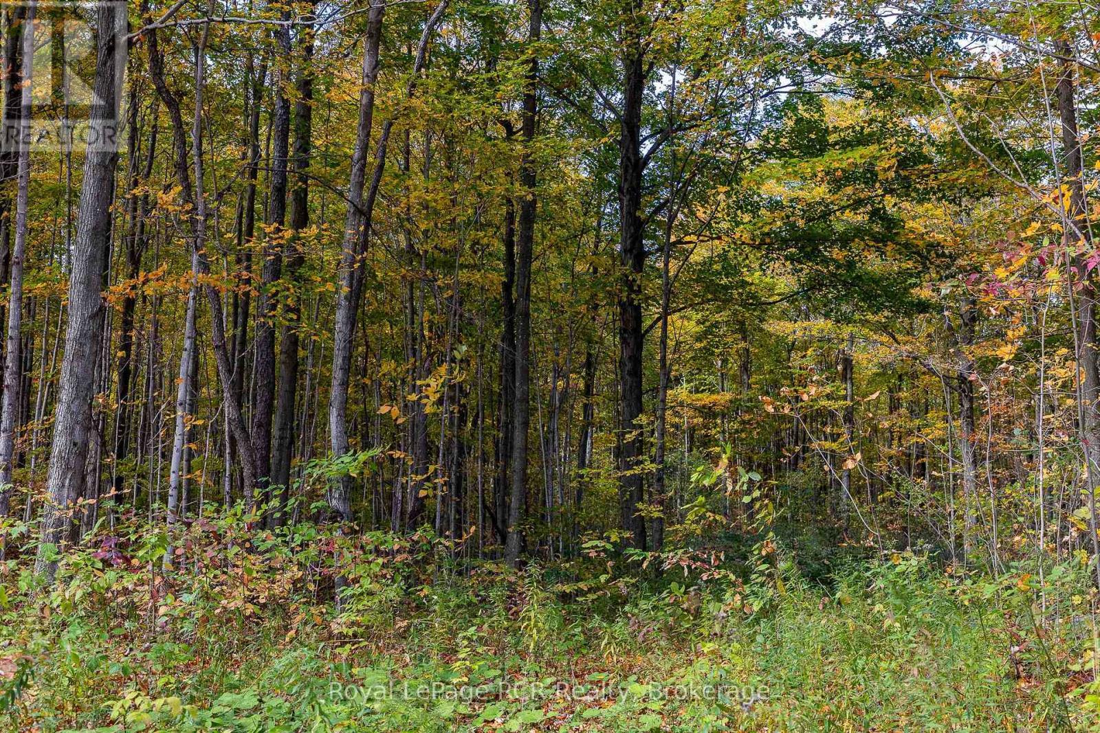 00 9Th Line, Grey Highlands, ON