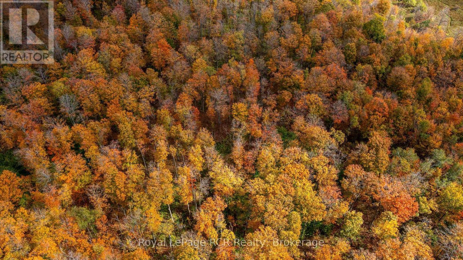 00 9Th Line, Grey Highlands, ON