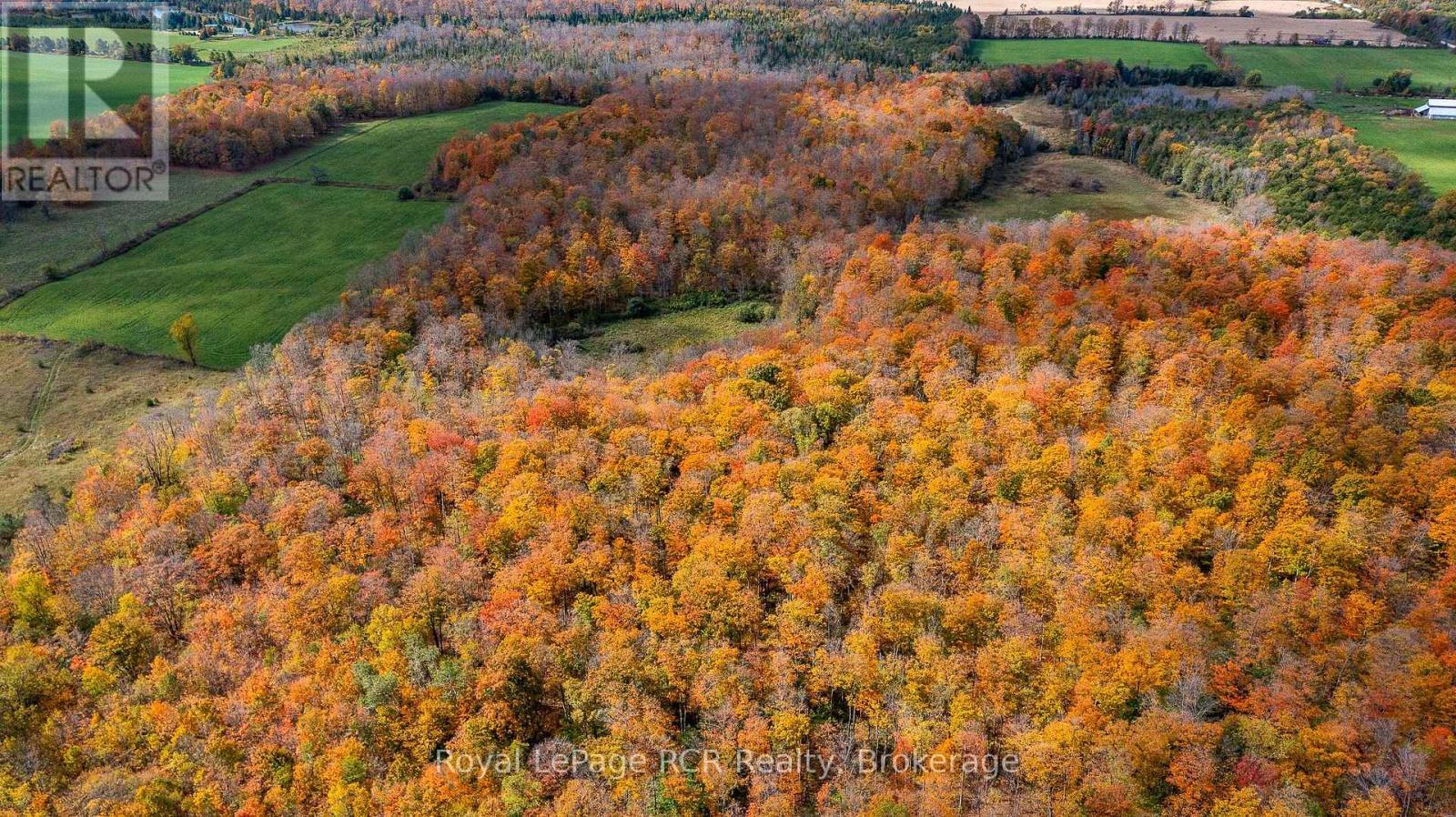 00 9Th Line, Grey Highlands, ON