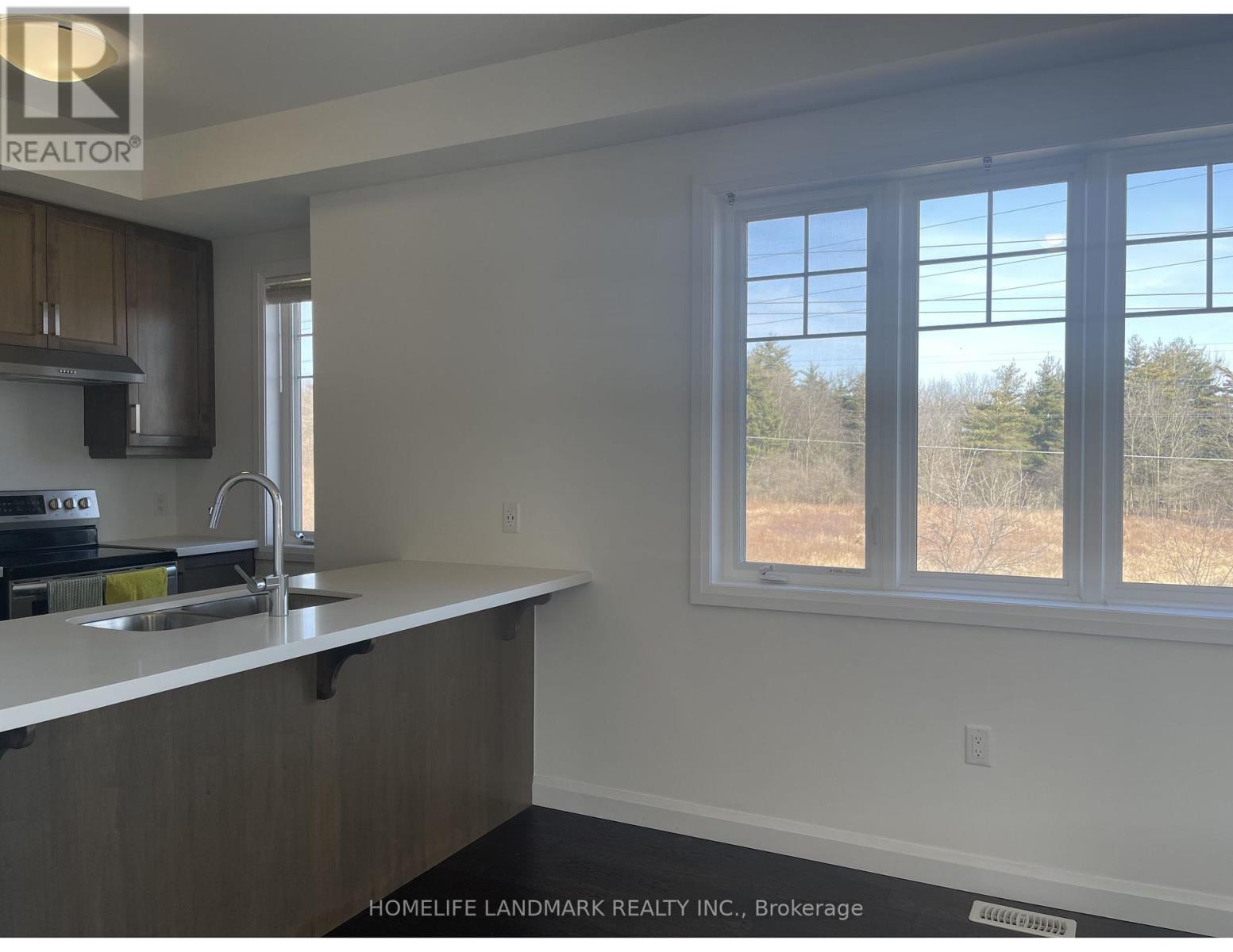 31 - 1169 Garner Road E, Hamilton, ON - Indoor Photo Showing Kitchen With Double Sink