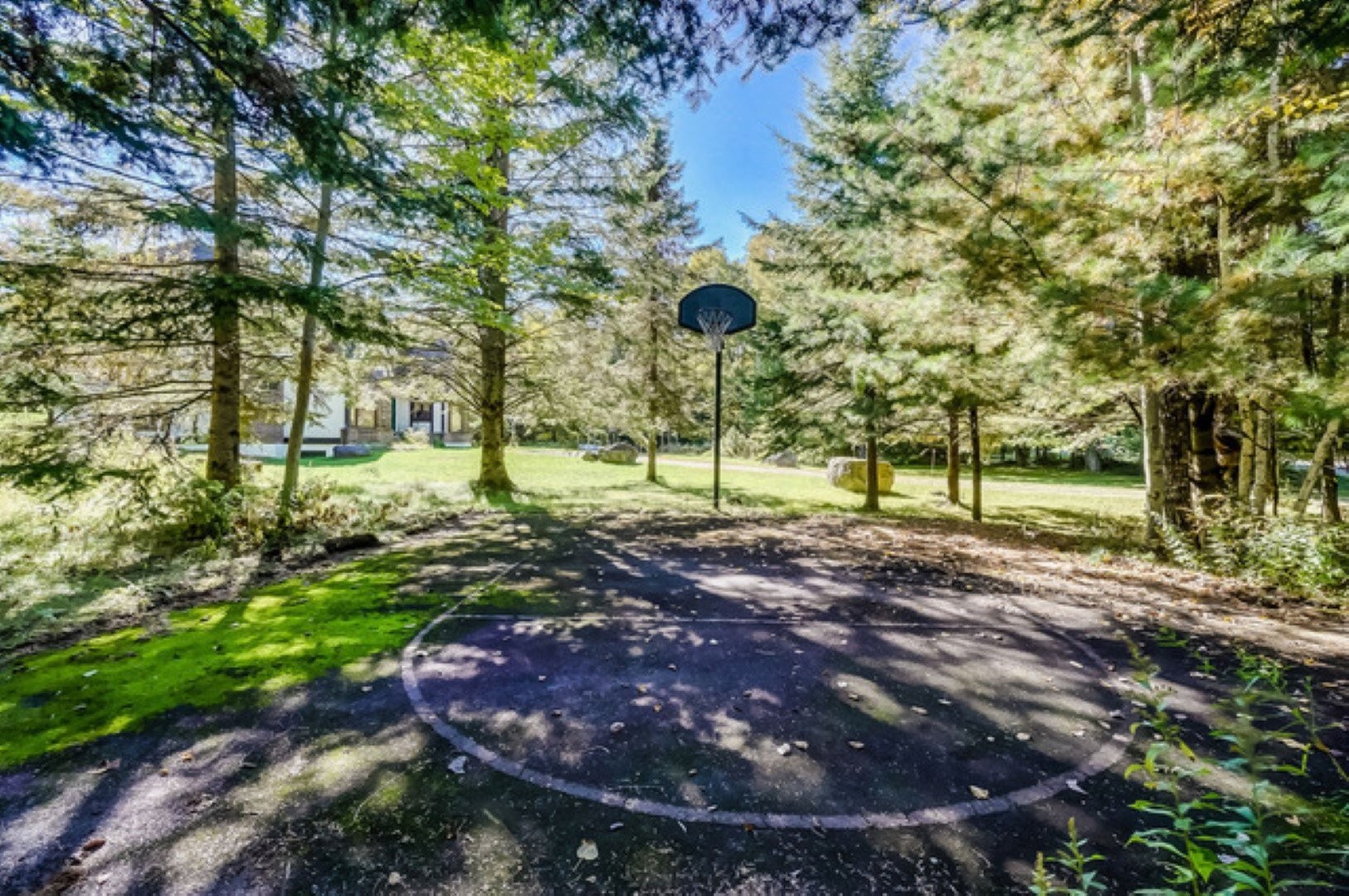 Exterior - 189 Ch. Wheeler, Mont-Tremblant, QC - Outdoor With View