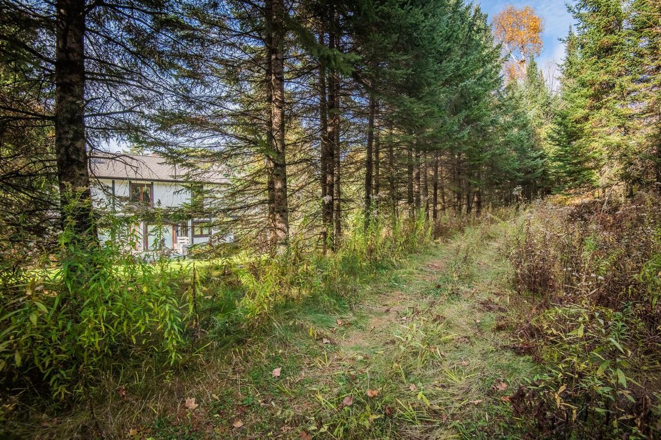 Exterior - 189 Ch. Wheeler, Mont-Tremblant, QC - Outdoor