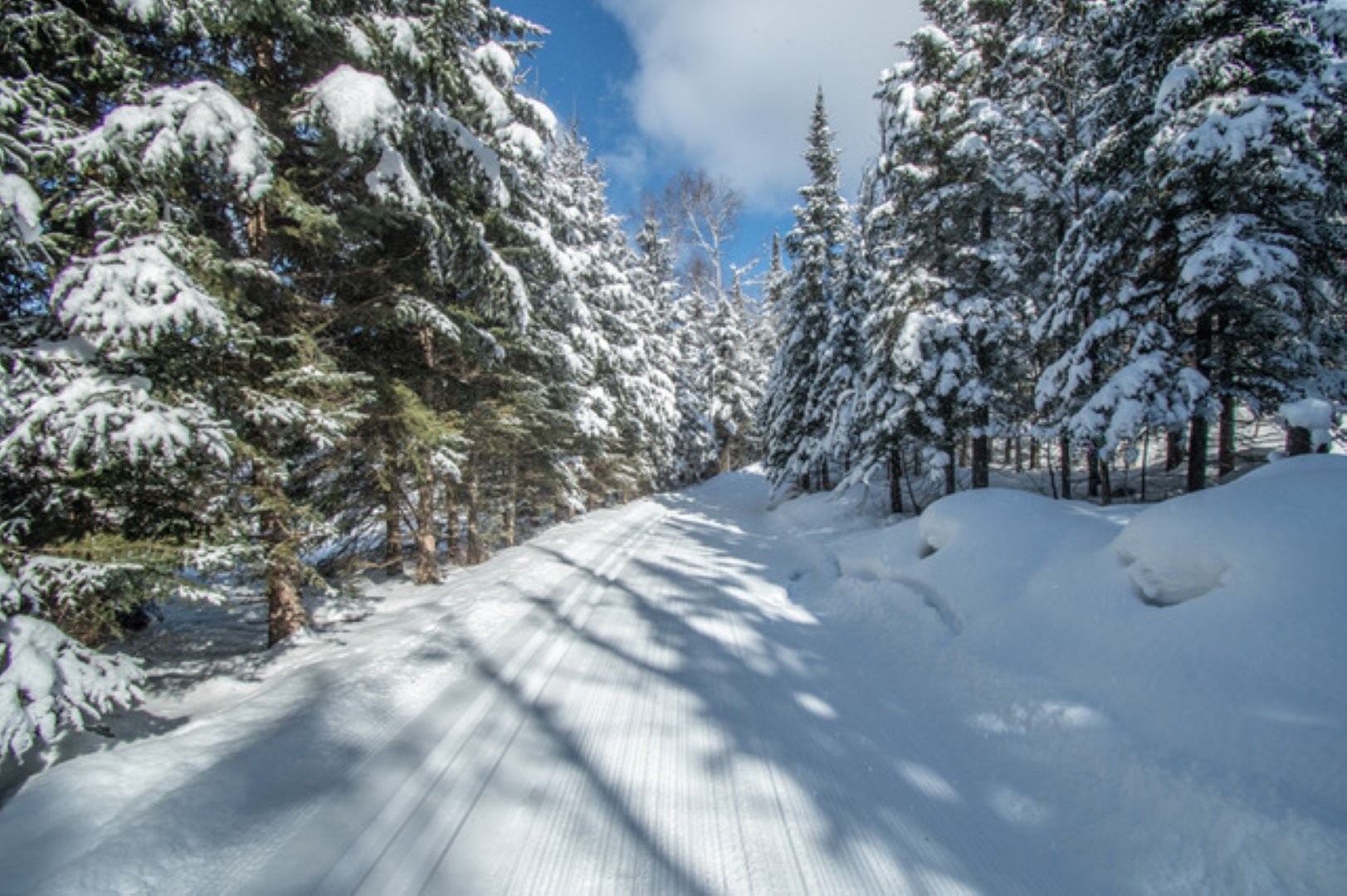 Exterior - 189 Ch. Wheeler, Mont-Tremblant, QC - Outdoor