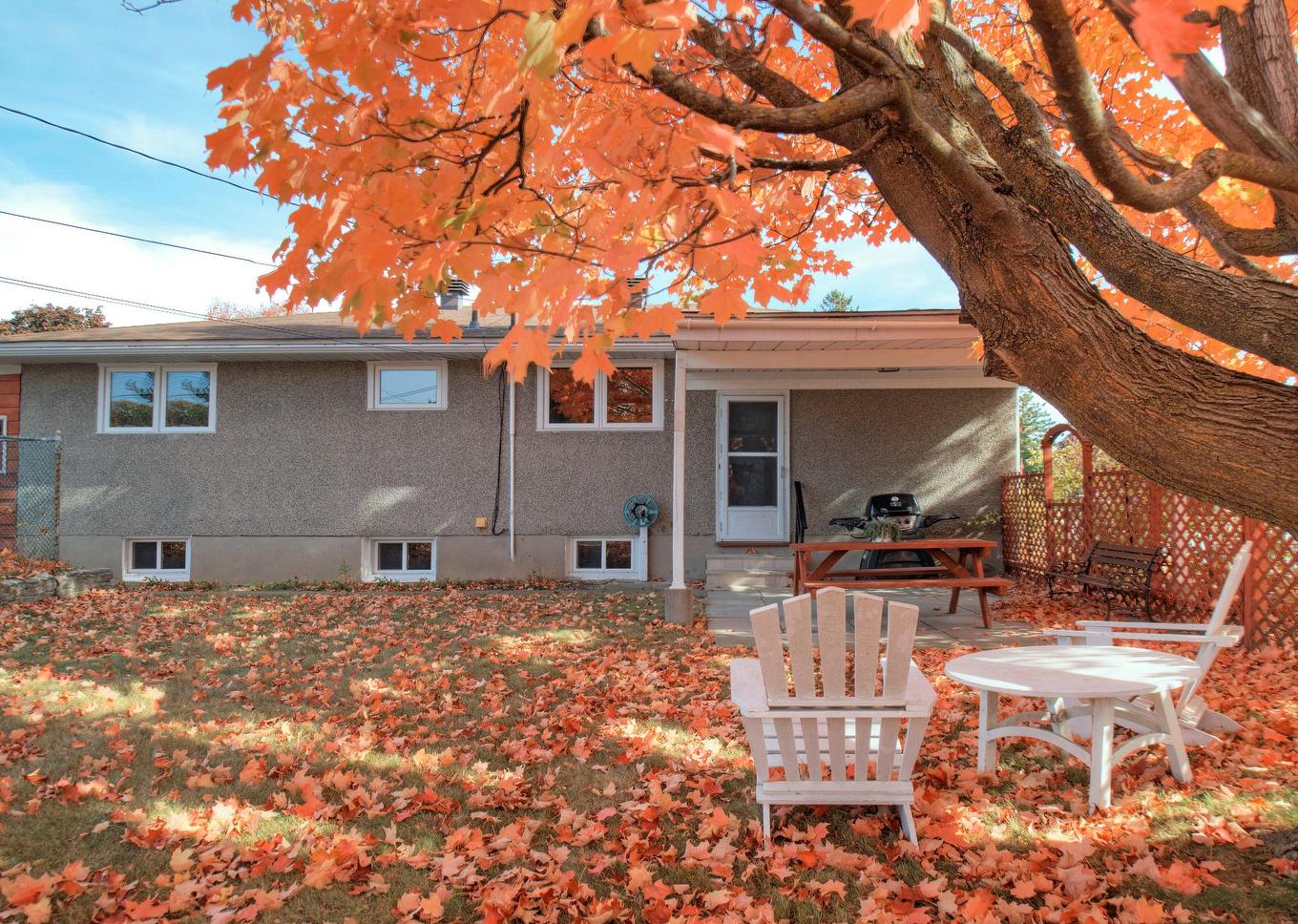 Face arrière - 539 Rue Tyler, Gatineau (Aylmer), QC - Outdoor