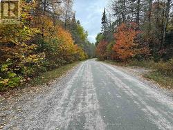 Well Maintained, Tree Lined Road -