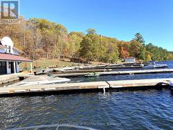 Boathouse and docks at the waterfront -