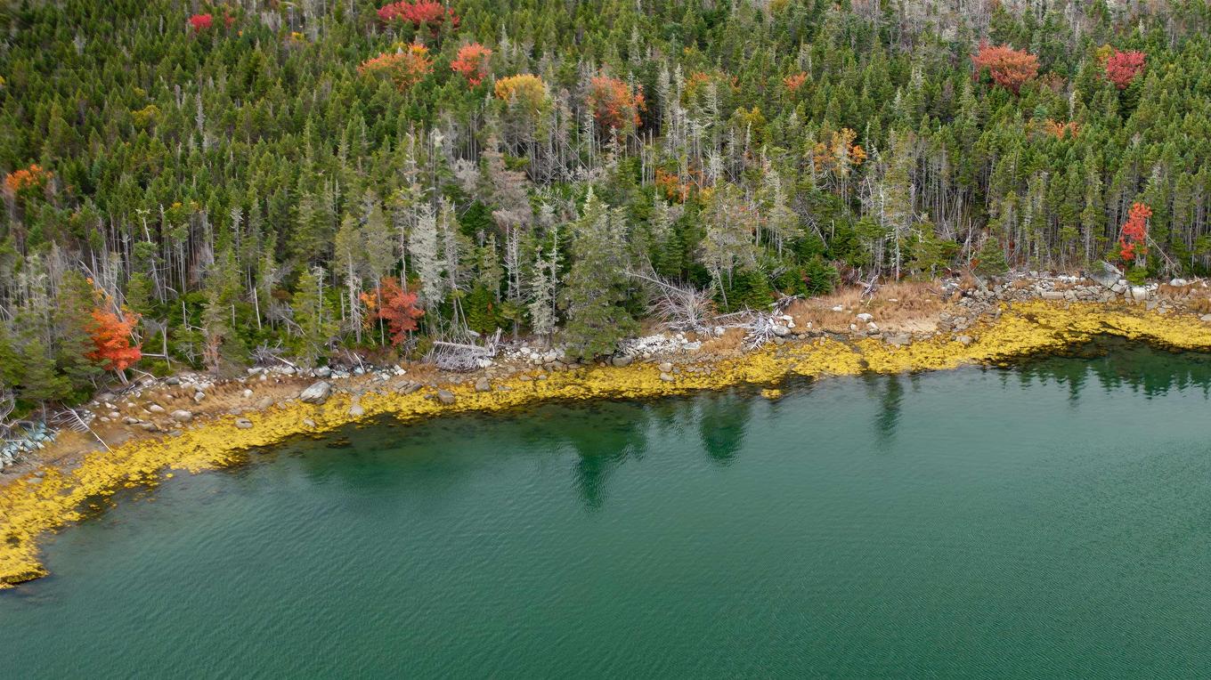 Grant 22407 Sober Island Road, Sober Island, NS