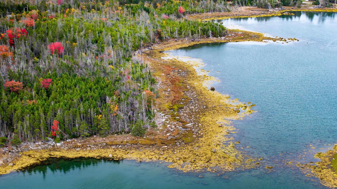 Grant 22407 Sober Island Road, Sober Island, NS