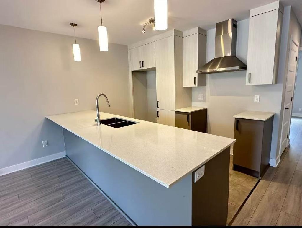 Cuisine - 103-70 Rue Natura, Bromont, QC - Indoor Photo Showing Kitchen With Double Sink