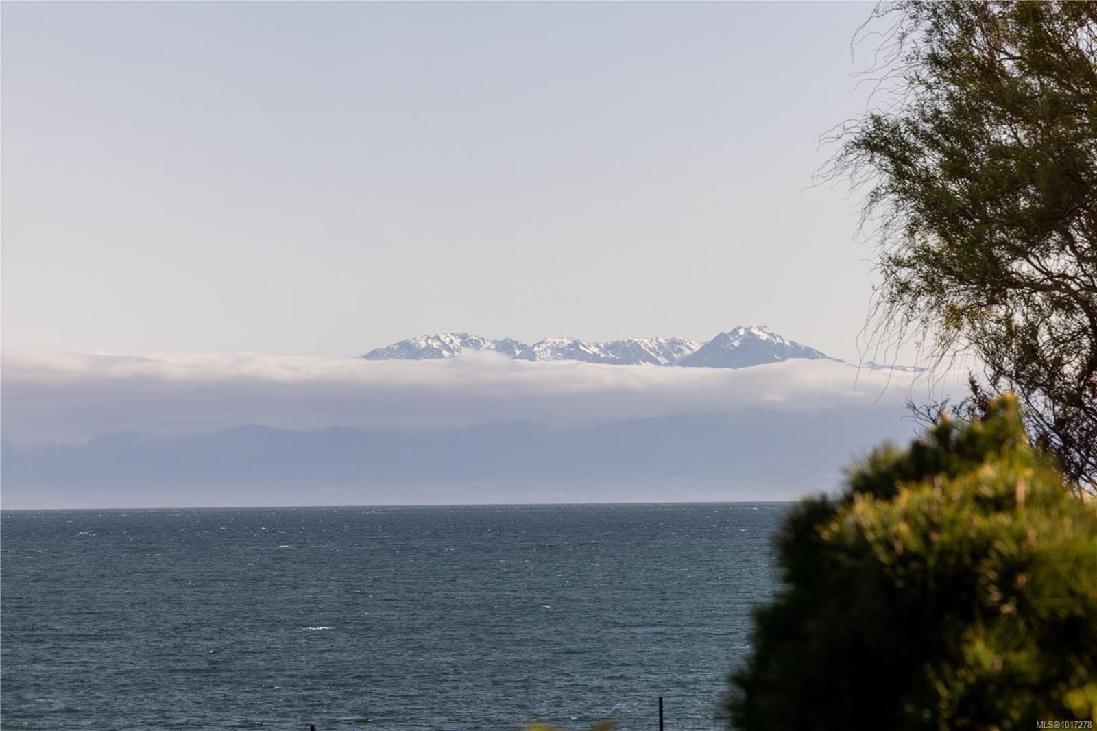 261 King George Terr, Oak Bay, BC