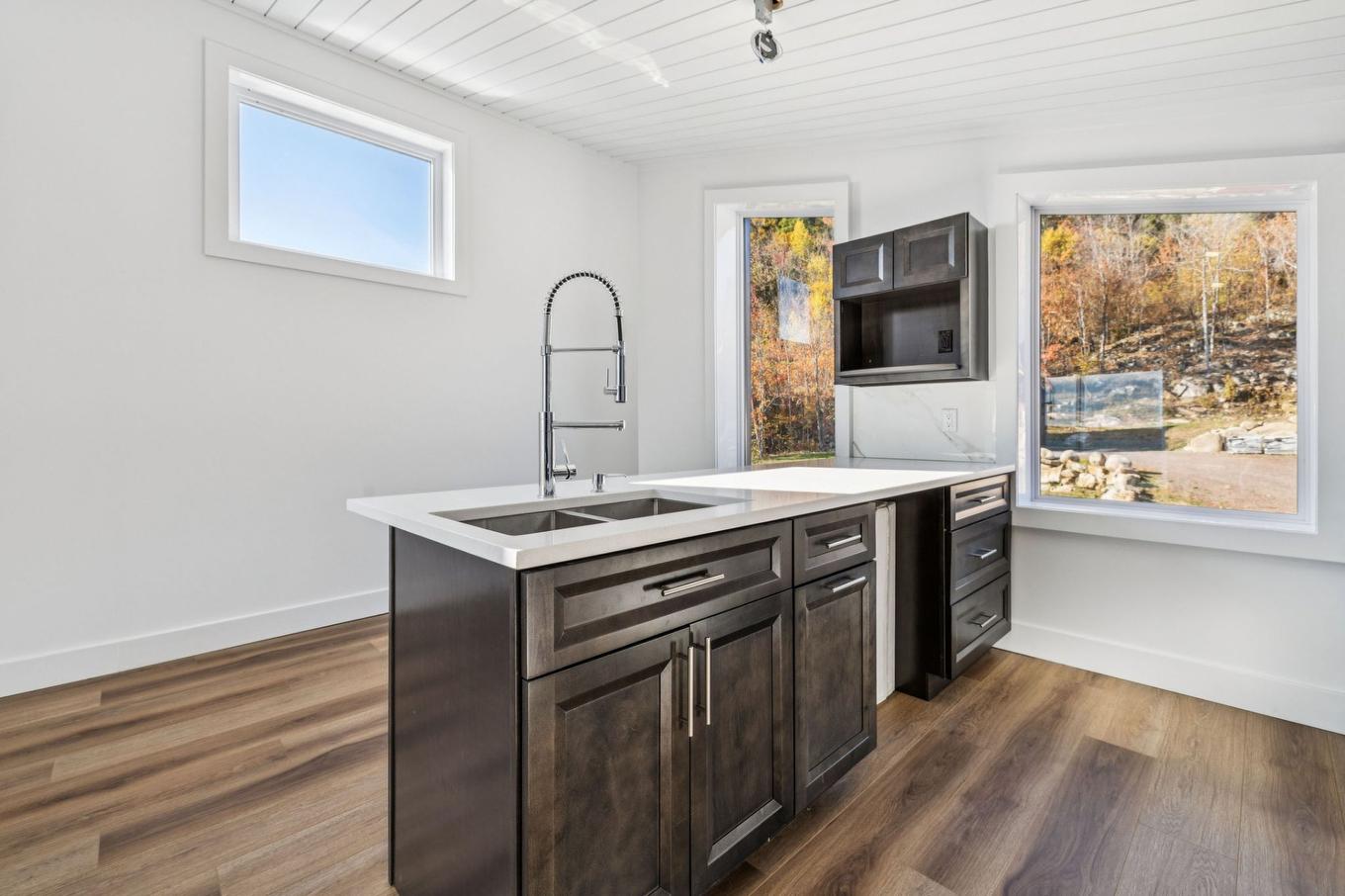 Kitchen - 21 Ch. Du Panorama, Grenville-Sur-La-Rouge, QC - Indoor Photo Showing Kitchen With Double Sink