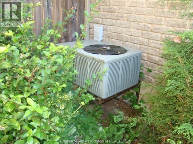 4 Red Leaf Lane, Ridgetown, ON -