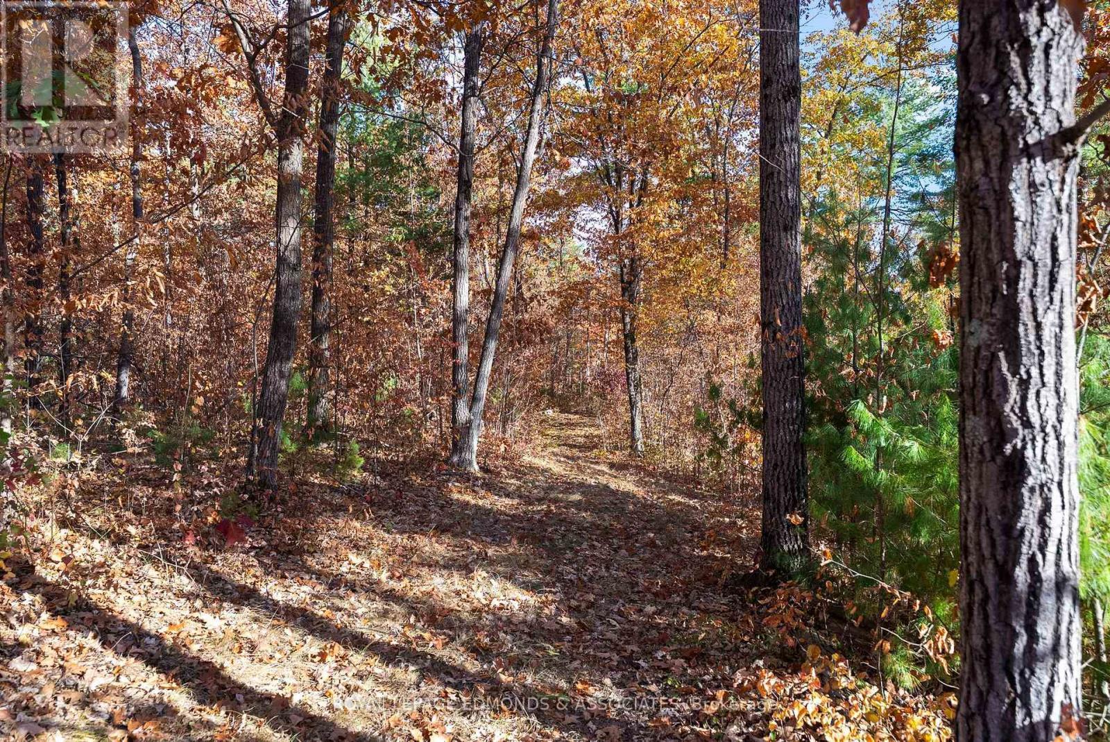 0 Reiche Road, North Algona Wilberforce, ON