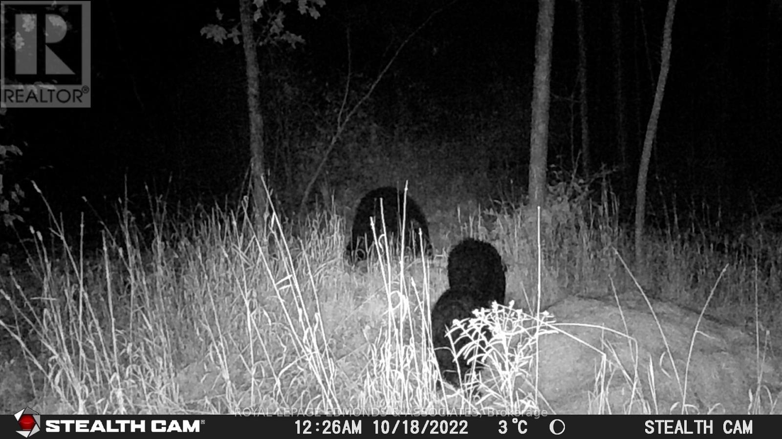 0 Reiche Road, North Algona Wilberforce, ON