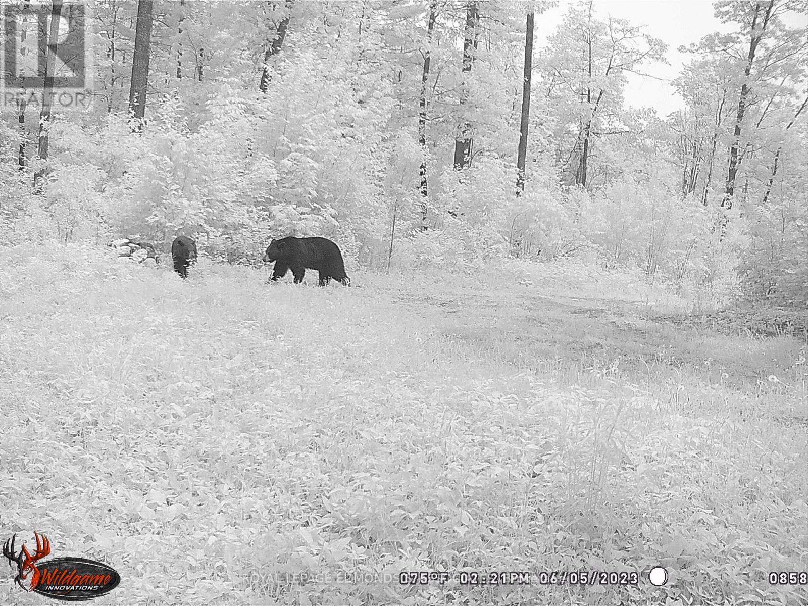 0 Reiche Road, North Algona Wilberforce, ON